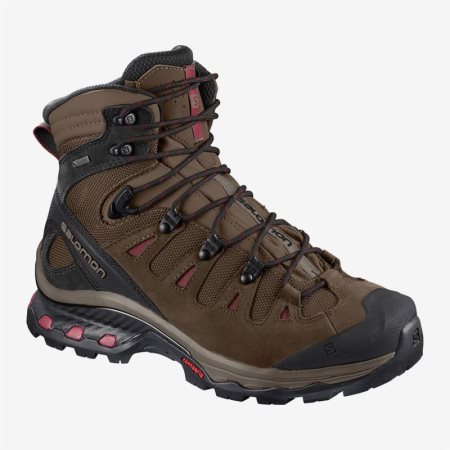 Salomon QUEST 4D 3 GTX W Womens Hiking Boots Brown UK GILW